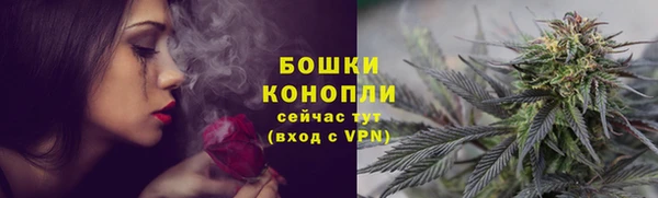MESCALINE Вяземский