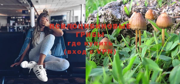 прущая мука Вязники