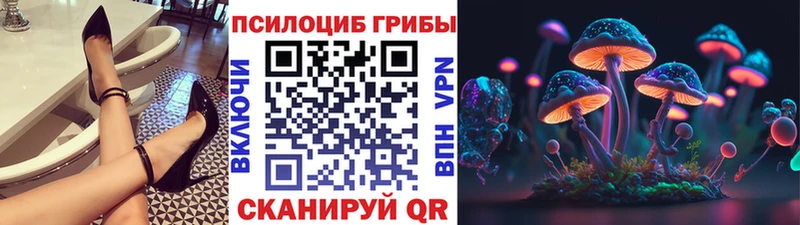Псилоцибиновые грибы MAGIC MUSHROOMS  Купить закладки  Нефтегорск 